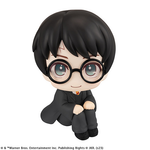 (MH) LOOKUP【HARRY POTTER】HARRY POTTER[837036] (PRE-ORDER)